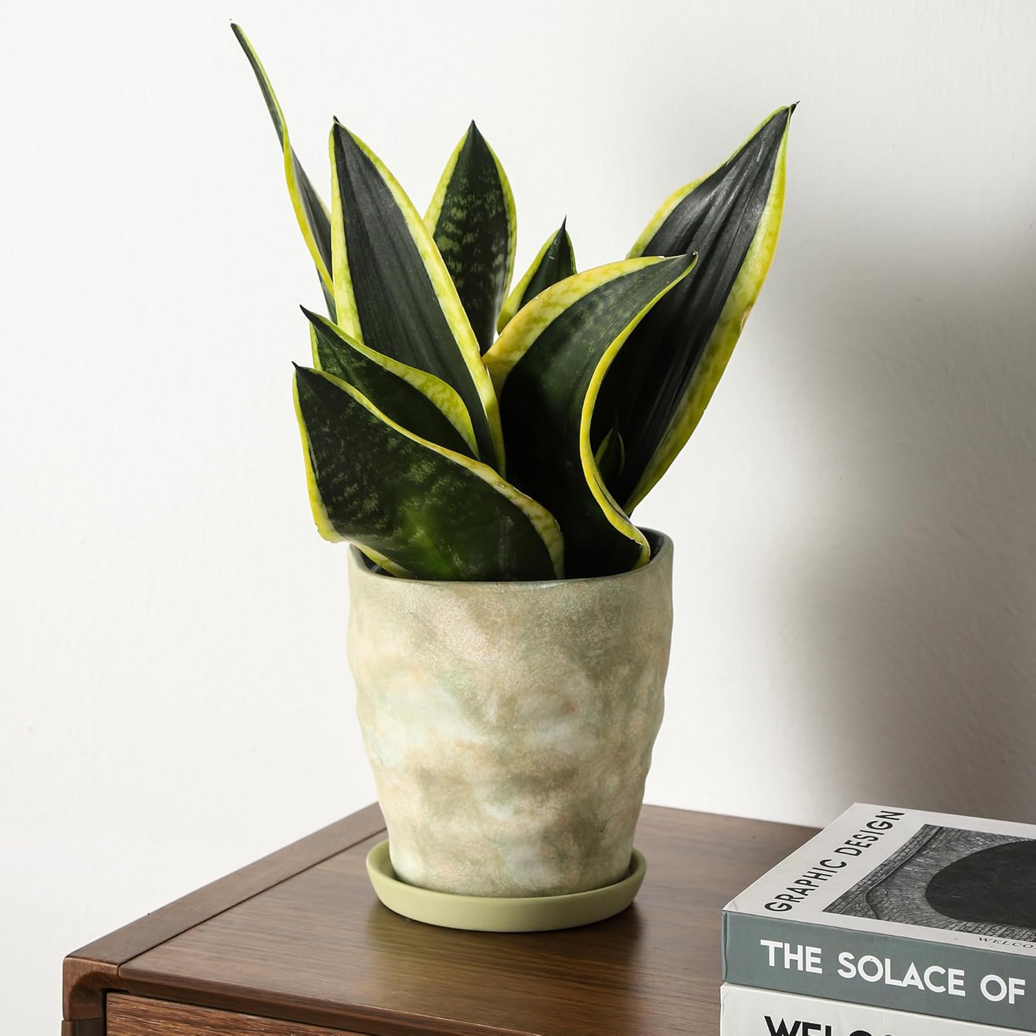 4+6 Inch Ceramic Planter Set of 2 with Drainage Hole,Saucer for Plants, Indoor-Outdoor Large Round Succulent Orchid