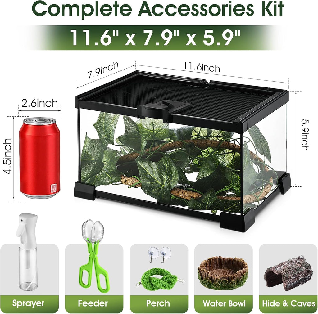 Reptile Terrarium Glass Kit 12" x 8" x 6" Starter Habitat for Tarantula, Succulents, Frogs, or Hermit Crabs, Tank with