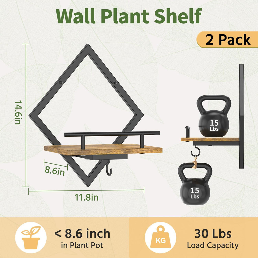 LASZOLA Plant Picture Frame Holder Shelf Wall Window Indoor, 2 Pcs Brown | Modern Floating Flower Hanger Wall Mounted