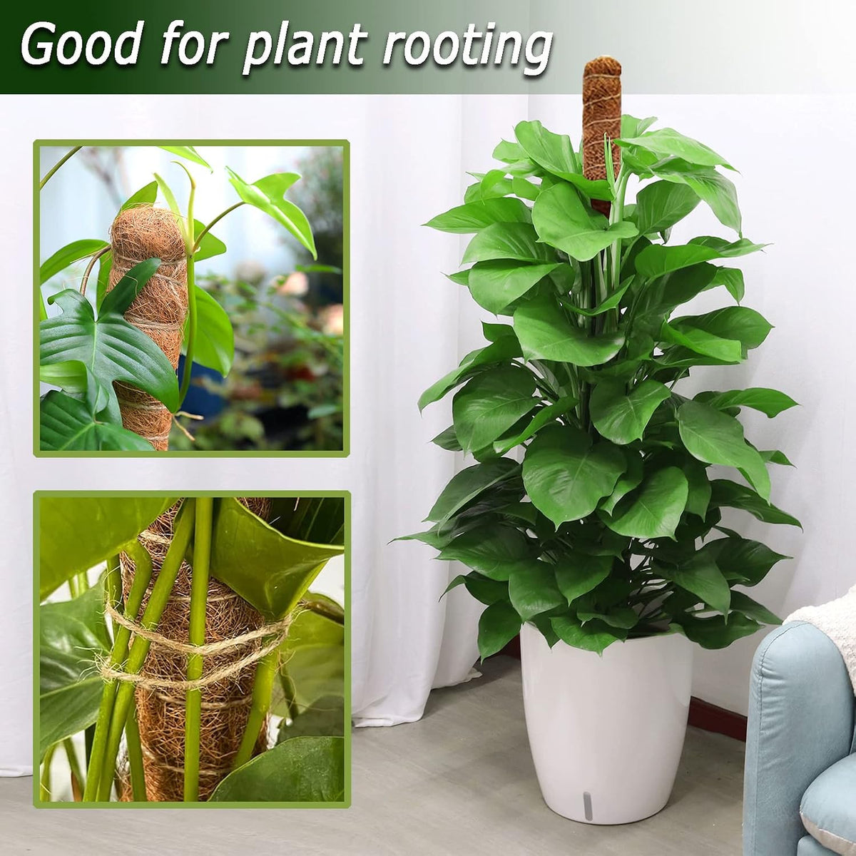 Tall Moss Pole Set, 60" and Two 28" Bendable Moss Pole for Plants Monstera, Moss Poles for Climbing Plants Indoor