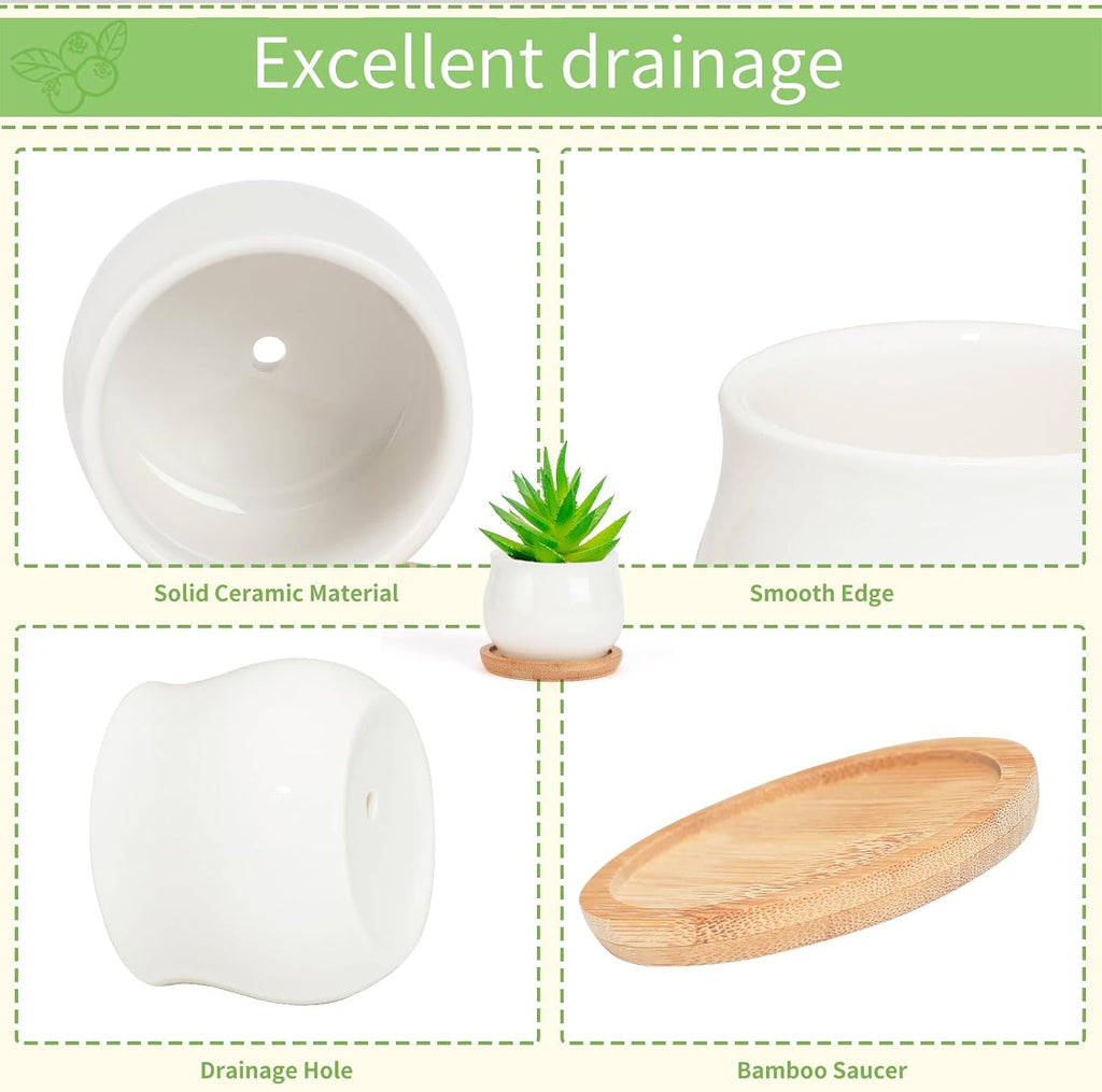 SHECIPIN Succulent Pots, White Mini 2.5 inch Ceramic Flower Planter Pot with Bamboo Tray, Pack of 12 - Plants Not