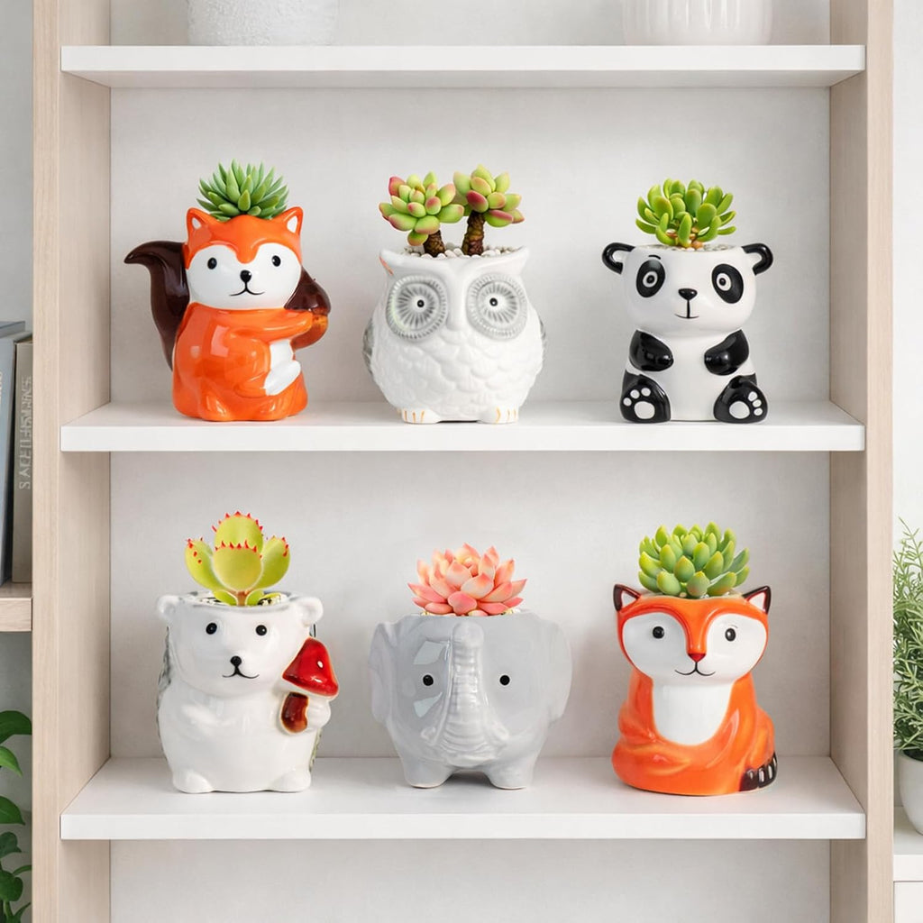 6 Pack Cute Cartoon Succulent Planters with Drainage - Small Animal Cactus Pots - Tiny Ceramic Flower Pots for Air