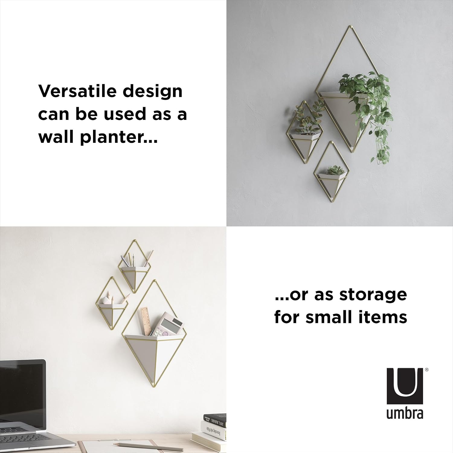 Umbra Trigg Hanging Planter for Small Plants, Set of 2, Small, White/Brass