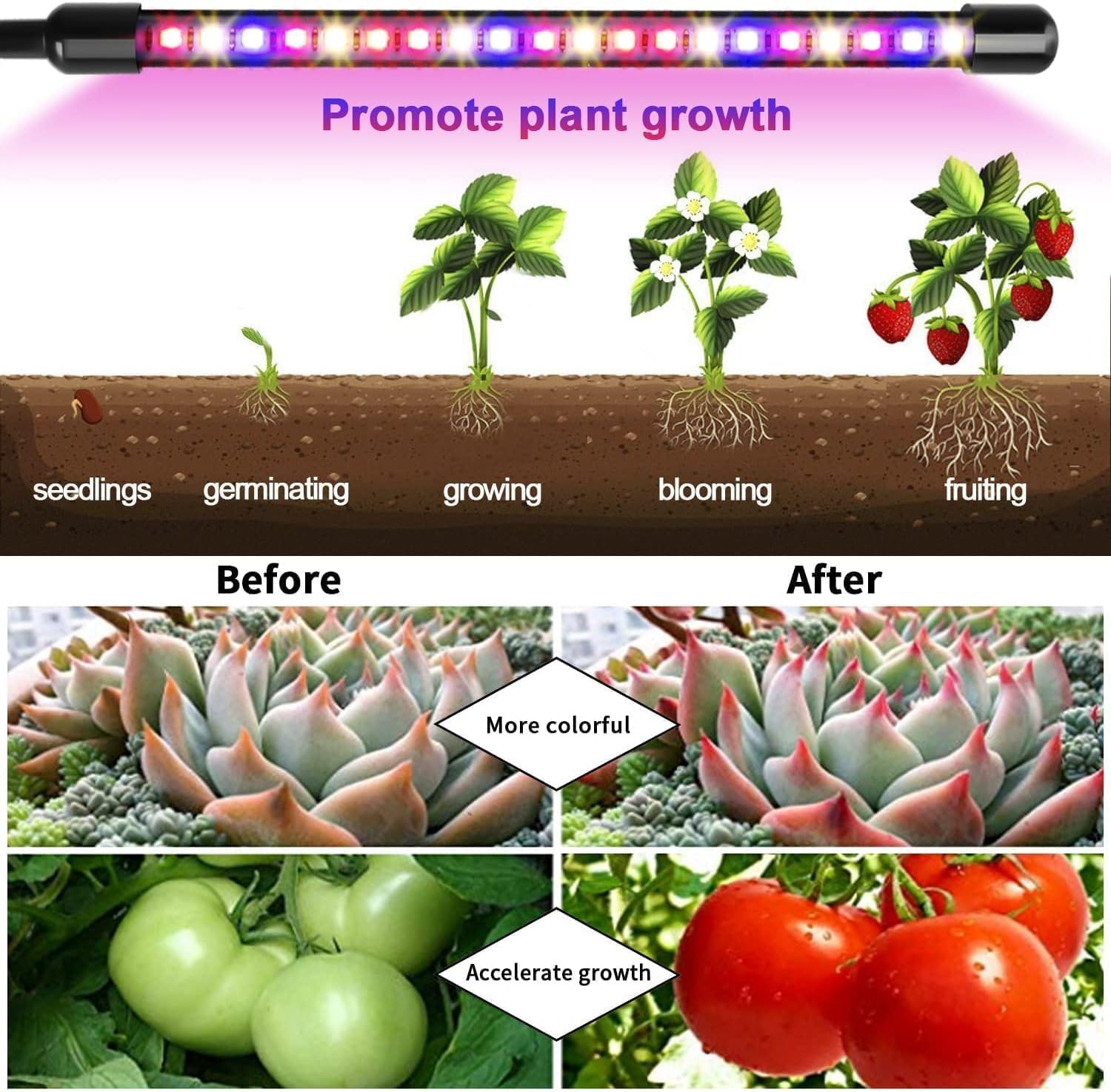 Grow Lights for Indoor Plants, Full Spectrum with Clip, 4 Head | 6000K Plant Light, Timer 6/12/16Hrs, 3 Spectrums, 5