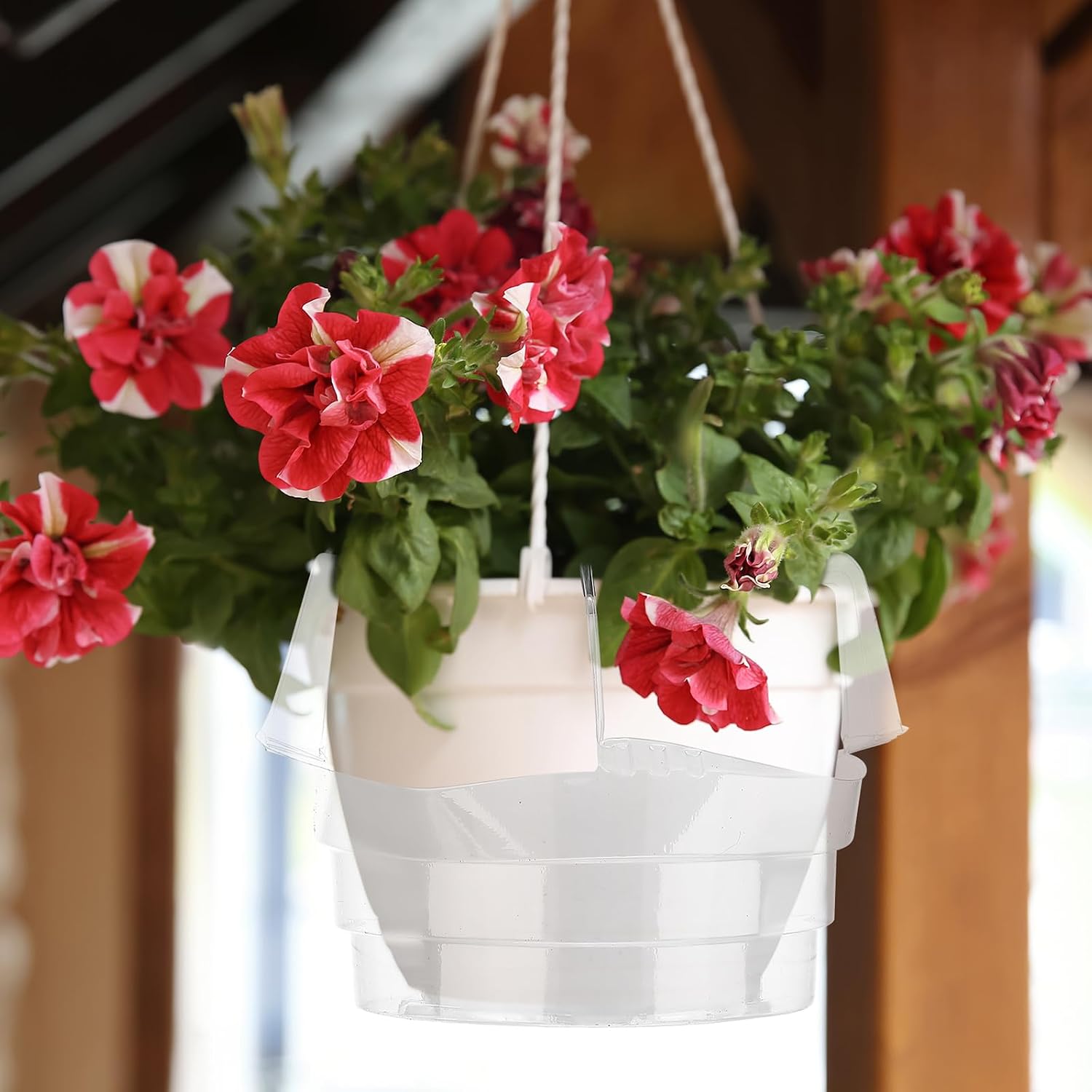 12 Pcs Hanging Plant Water Catcher Tray,6 8 10 12 Inch | Includes 4 Pcs Clear Plastic Plant Saucer Drip Pans for Indoor
