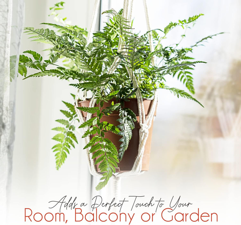 feedee Macrame Plant Hangers Indoor Macrame Hanging Planters for Indoor Plants, 6 Pack Hanging Plant Holders Indoor