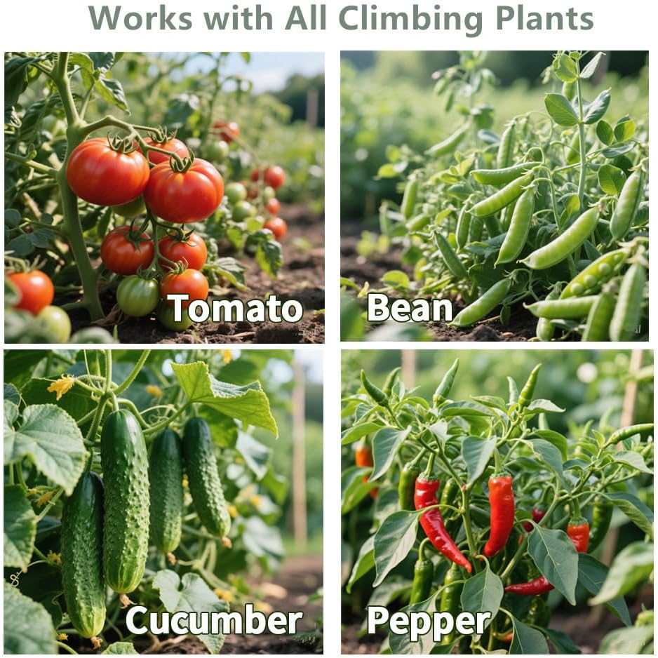 AMAGABELI Garden & Home 3 Pack Tomato Cages for Garden Plant Support 42" Stakes Metal Tower for Climbing Plants