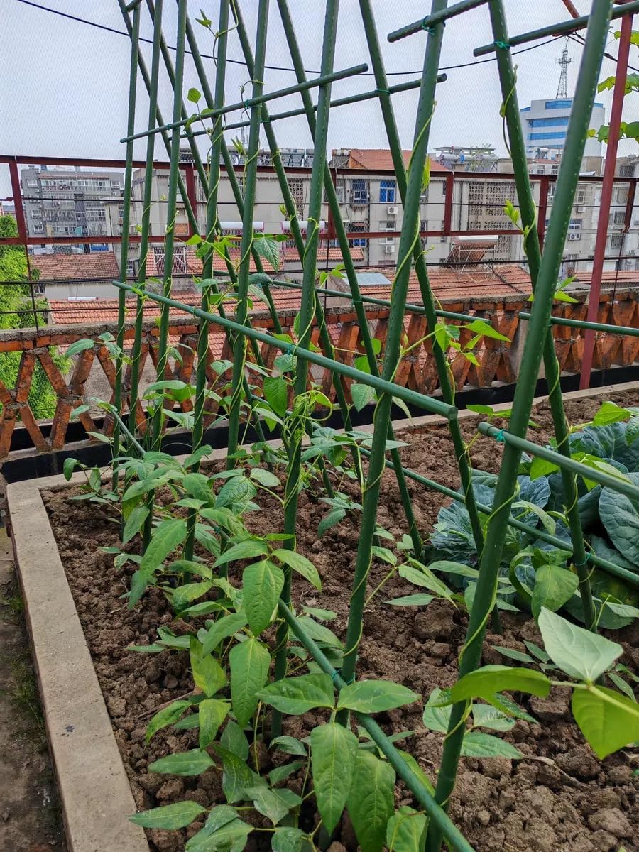 30" Sturdy Eggplant Supports Tomato Cage Plant Trellis Vegetable Stakes Plant Support Cages Planter Metal Inner Plant