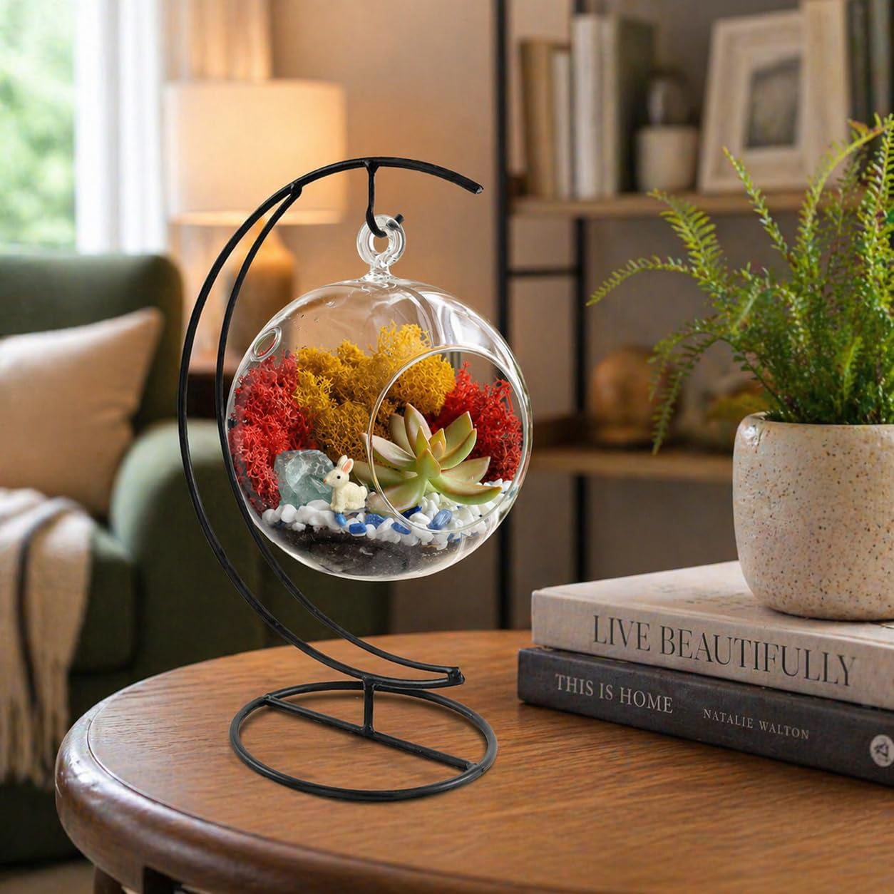 Creations by Nathalie - 5" Glass Globe Succulent Terrarium Kit, Hanging DIY Starter Kit for Kids and Adult, Metal
