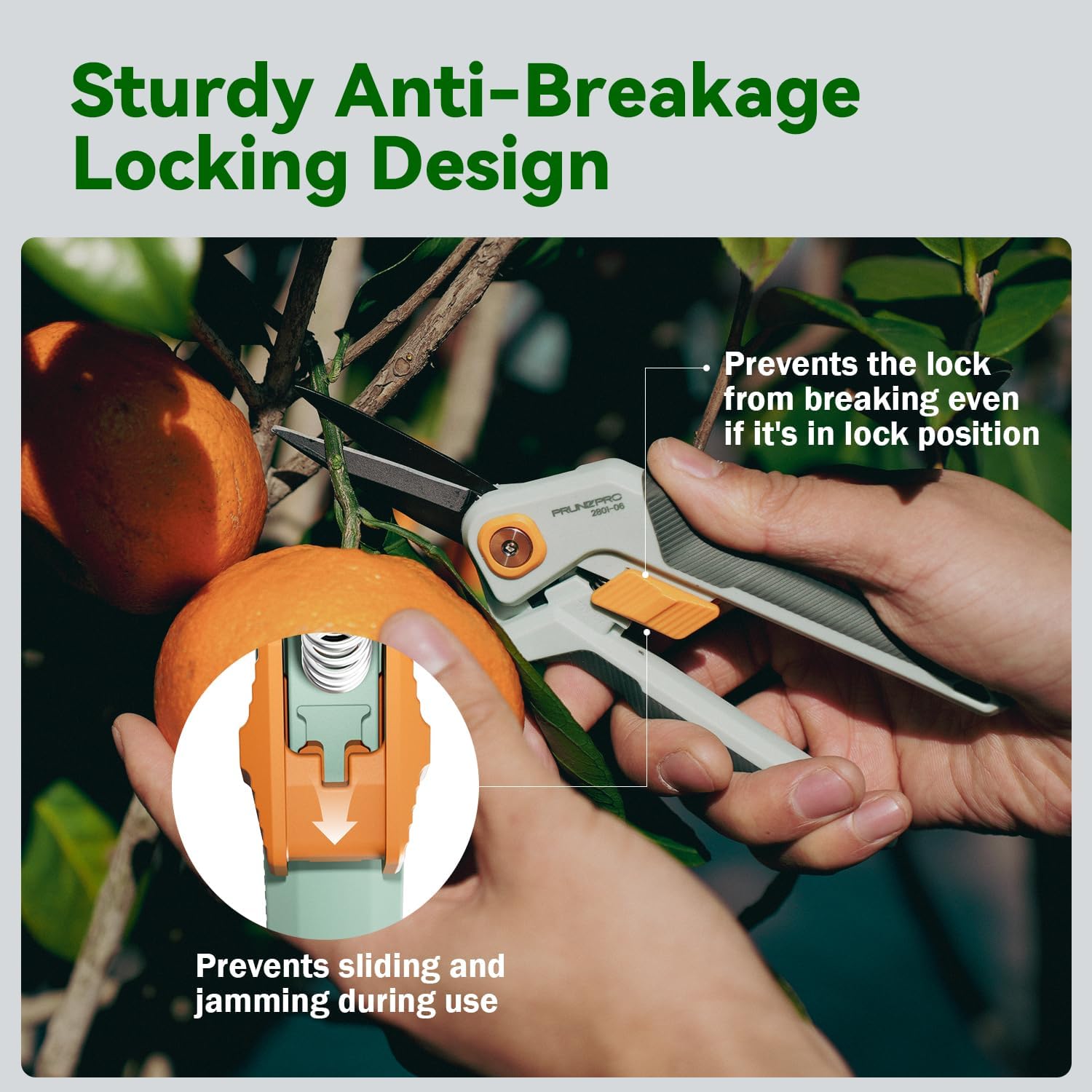 PrunePro Garden Scissors Pruning Shears Sharp Stainless Steel Non-Stick Teflon Coating Blade for Precise Cuts Garden