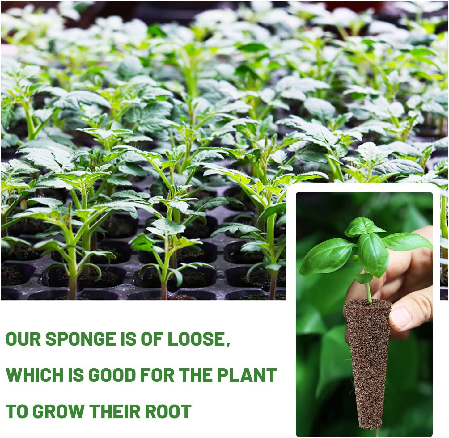 300Pcs Growth Sponges for Pods, Greenhouses Sponges, Grow Sponges for Greenhouses & Germination Equipment, Starter for