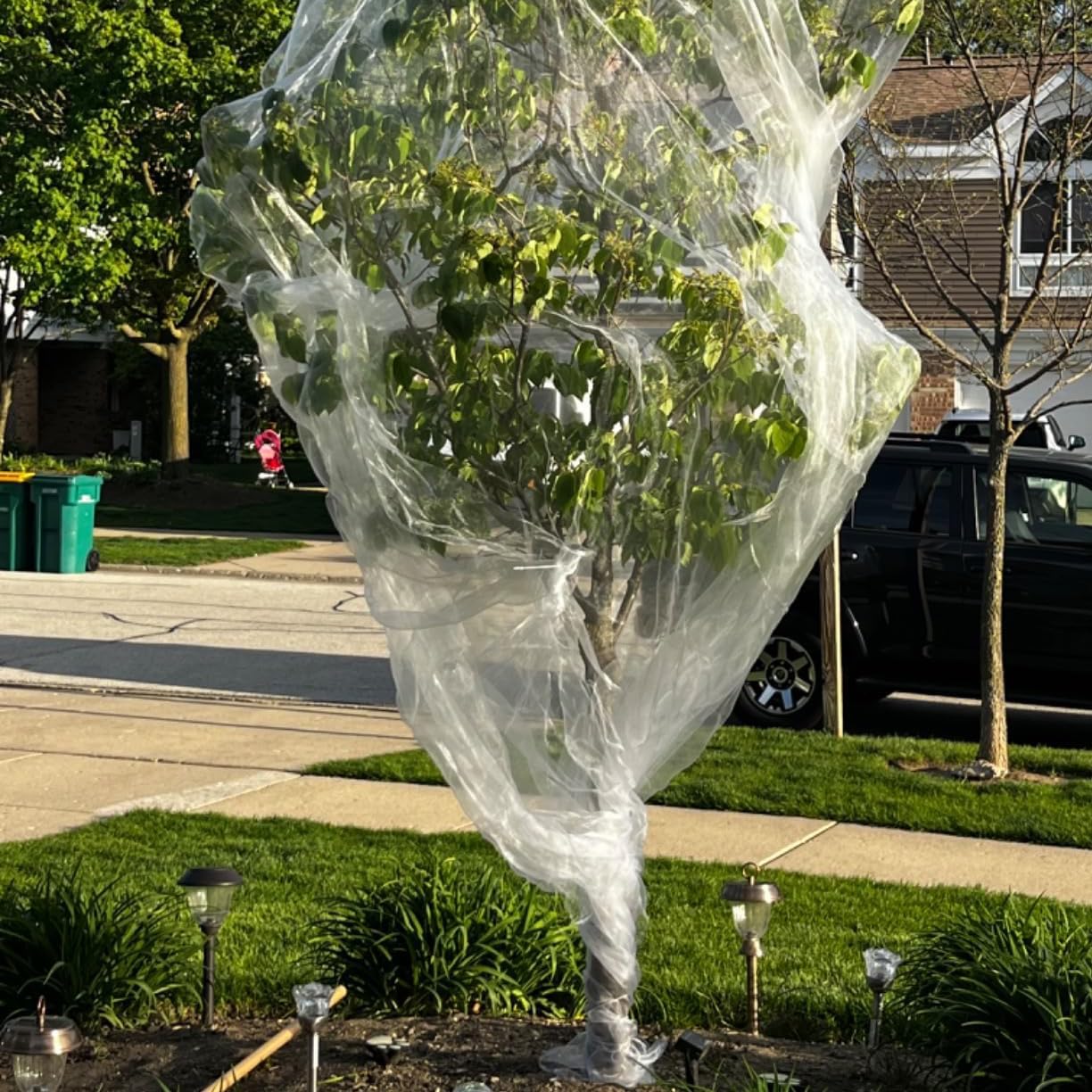 6.5X50 FT Garden Netting Pest Barrier, Ultra Fine Mesh | Insect Netting Plant Covers, Row Cover for Vegetables, Fruit