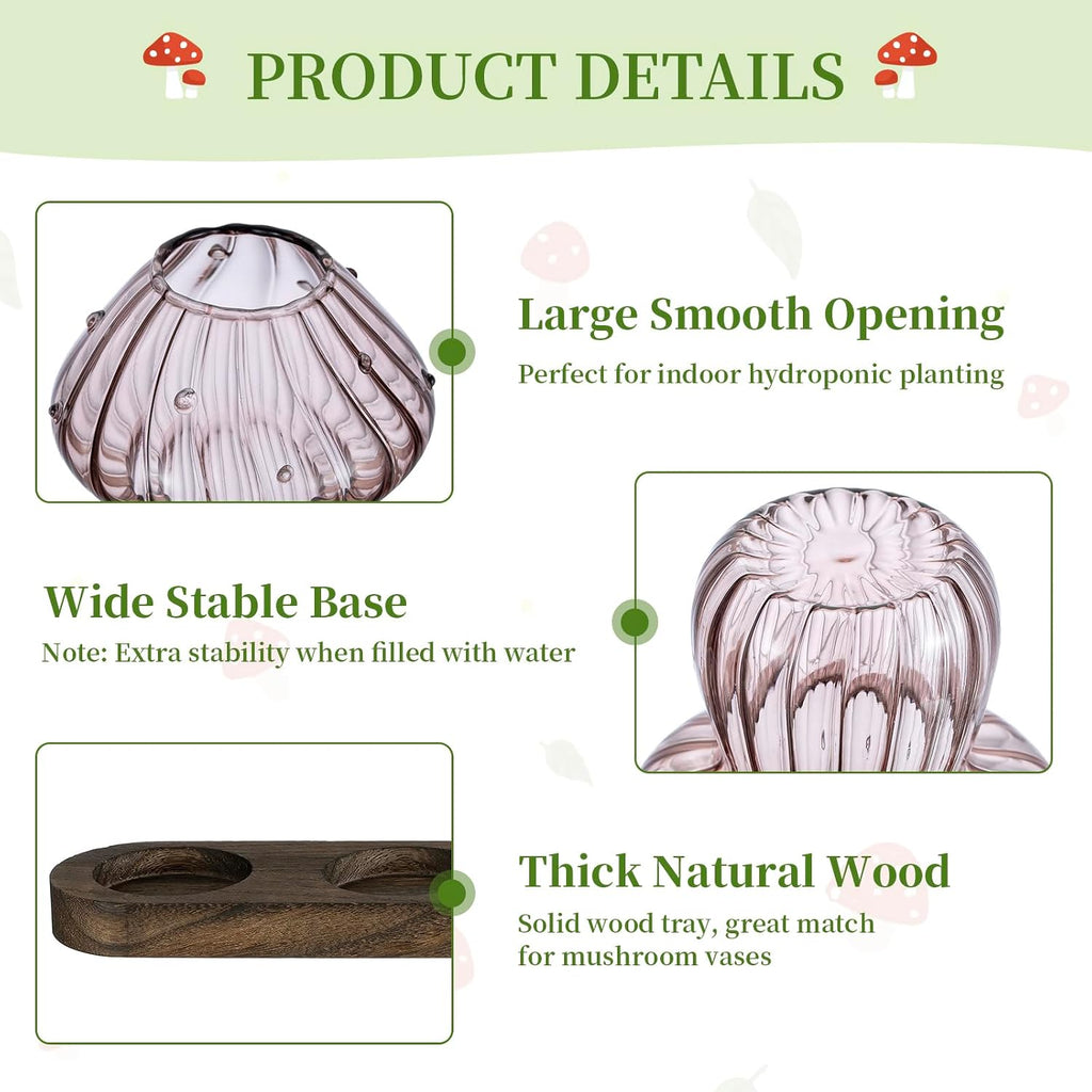 Glasseam Mushroom Plant Propagation Station: 3 Pcs Glass Terrarium Jar | Handmade Small Hydroponic Planter with Wood