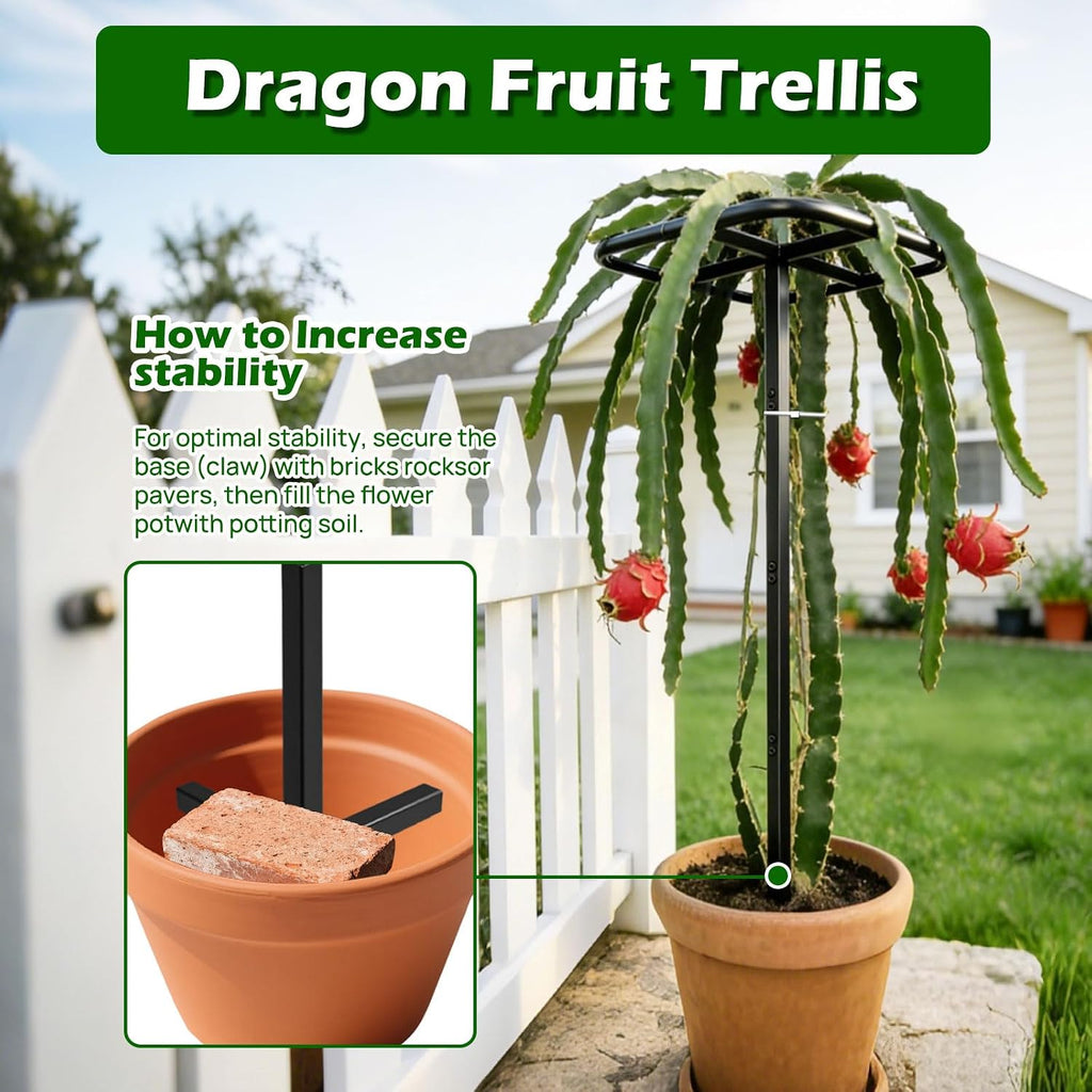 Extra Thick Adjustable Dragon Fruit Trellis,Metal Plant Trellis | Durable Outdoor Climbing Plants Support Frame for