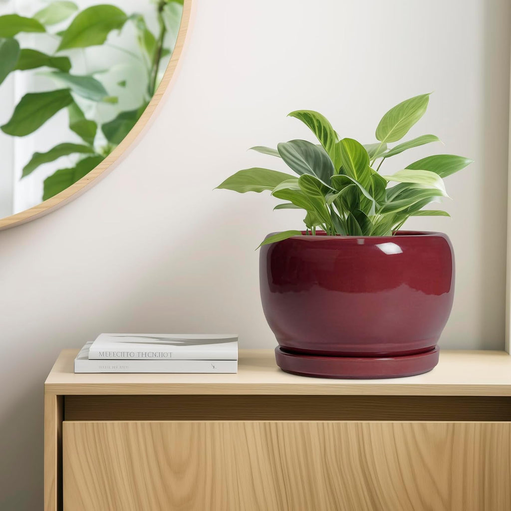 SQOWL Ceramic Pot for Plants - 10 Inch Indoor Planter with Drainage Hole and Saucer, Round Modern Planter Outdoor