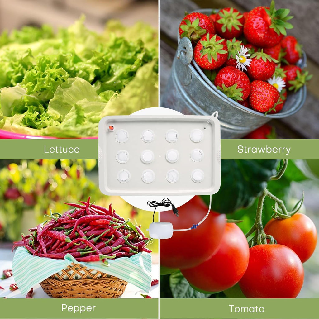 NATGAI Hydroponic System Growing Kit with Air Pump 12 Holes Soilless | Cultivation Grow Box Garden Cabinet Box for