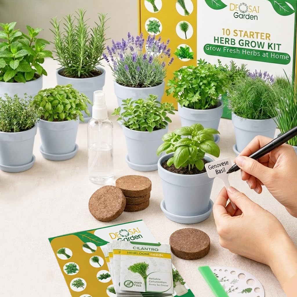 47 PCS Herb Garden Seeds Starter Kit, 10 Non-GMO Culinary Herb Seeds with White Pots & Planters for Windowsill, Herb