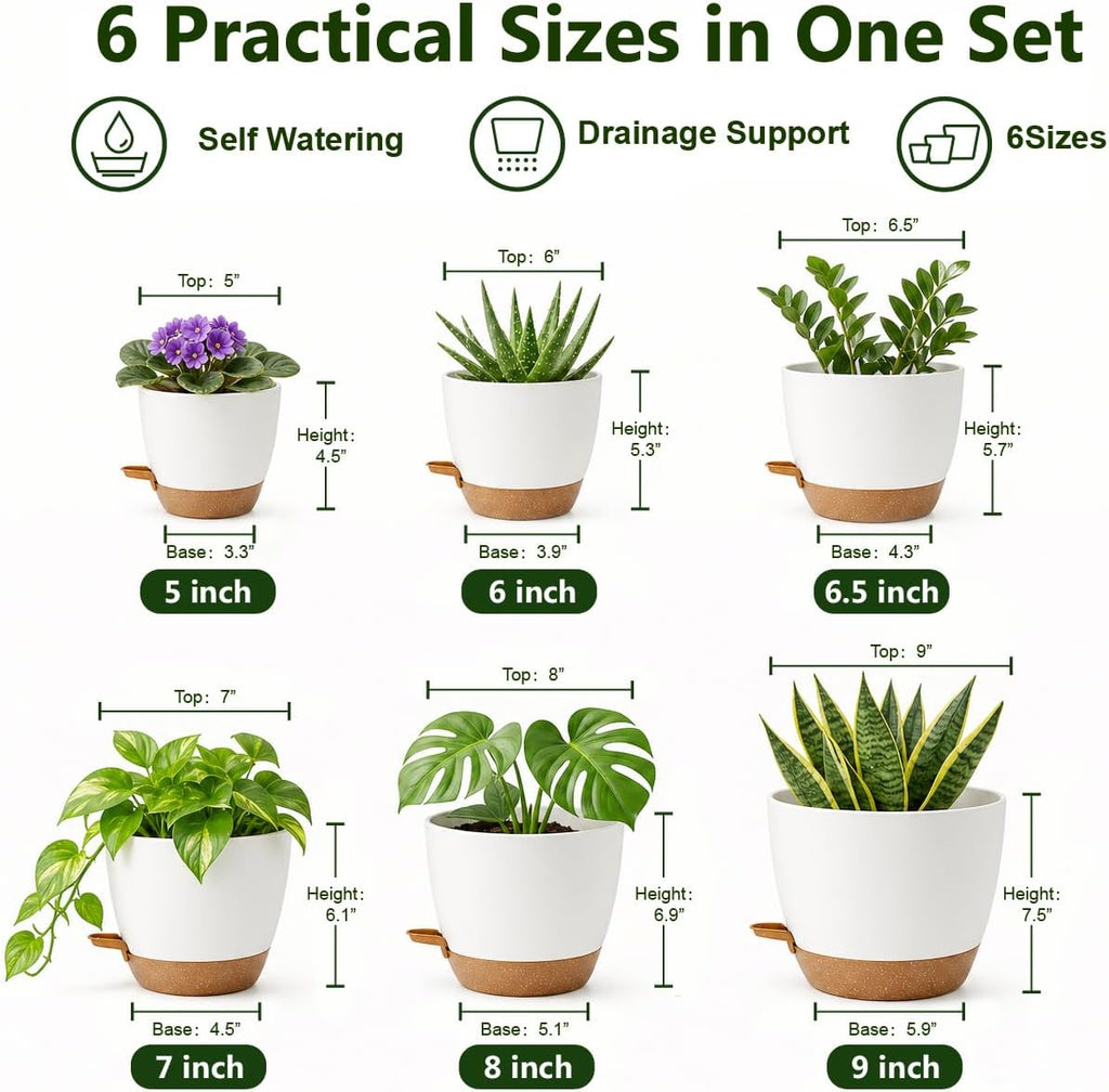 Plant Pots for Indoor 9/8/7/6.5/6/5 Inch, Self Watering Planter Pots with Drainage Holes and Saucers, 6Pcs Plastic