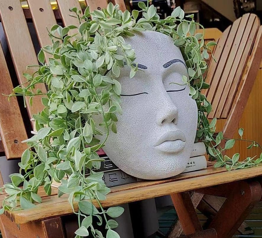 Face a Planter Pot,Face Flower Pot Hanging Indoor Outdoor Wall Decoration | Face Flower Pot Hanging Wall