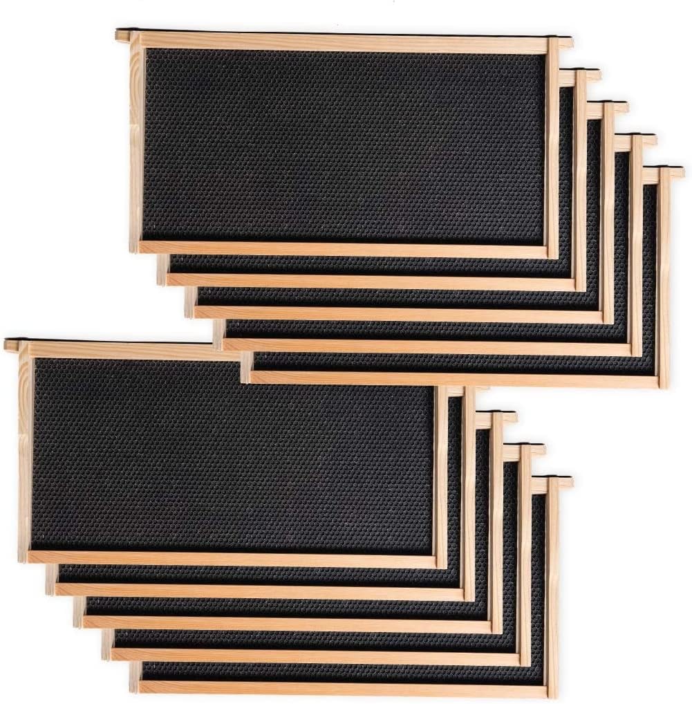 BeeCastle Heavy Wax Coated Unassembled Langstroth Deep/Brood Box with Frames and Beeswax Coated Foundation Sheet (10