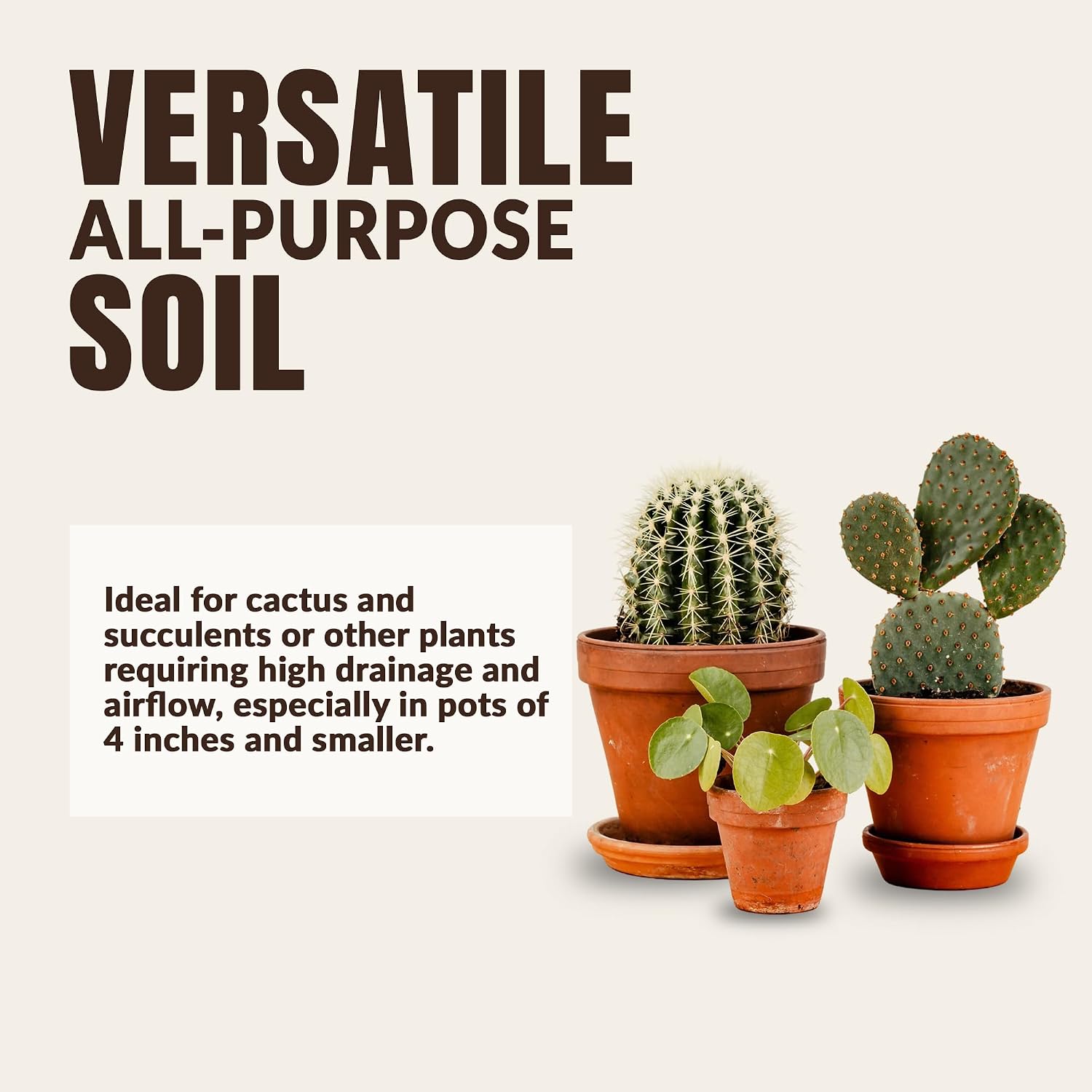 High Porosity Soil Mix, Enhanced with Peat Moss and Perlite, Perfect for Smaller Pots, Cactus & Succulents - Promotes