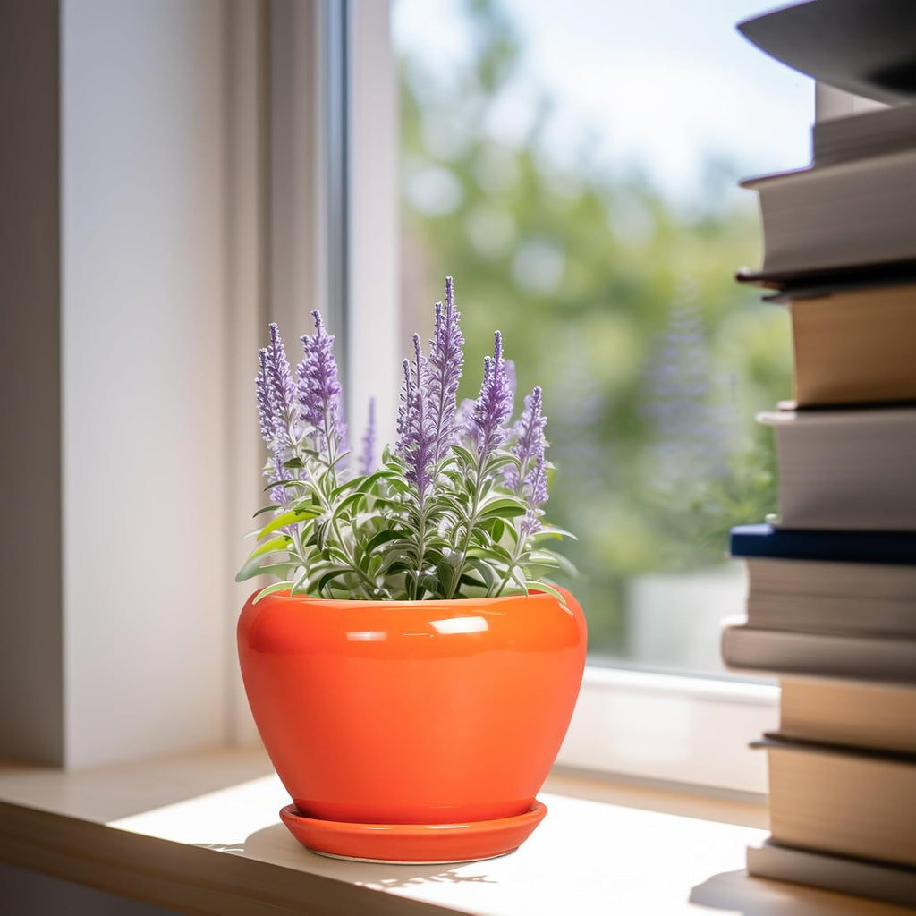 Ceramicfor Ceramic Plant Pot 6 Inch - Ceramic Planter for Indoor Plants Outdoor, Glaze Round Modern Flower Pot with