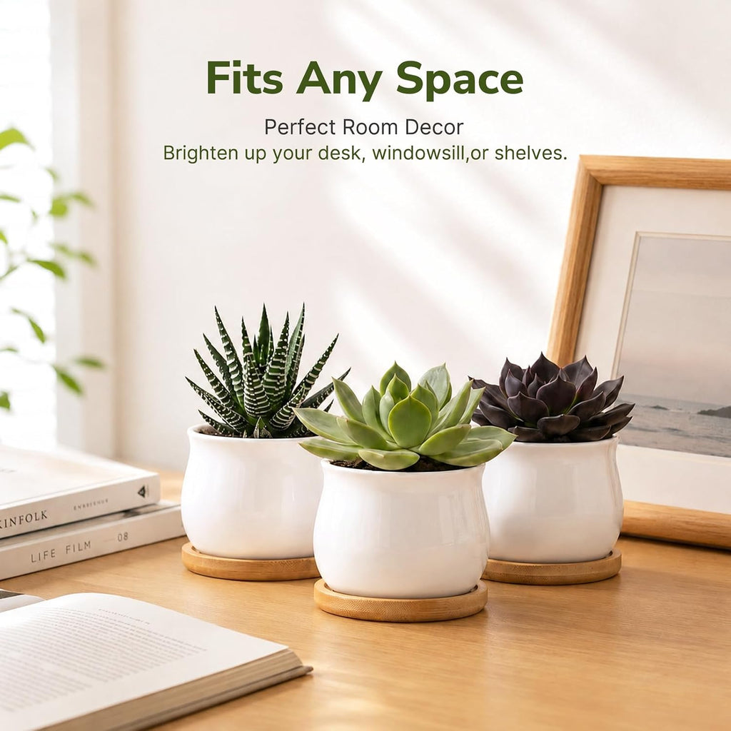 ZOUTOG 12 Pack Succulent Pots, 2.6 Inch Mini Ceramic Pots for Flower or Cactus Plants with Drainage Hole,Plants Not
