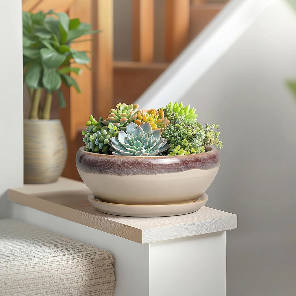 SQOWL Succulent Pots 8 Inch - Ceramic Bonsai Pots for Indoor Plants, Round Shallow Plant Pot with Drainage Hole and