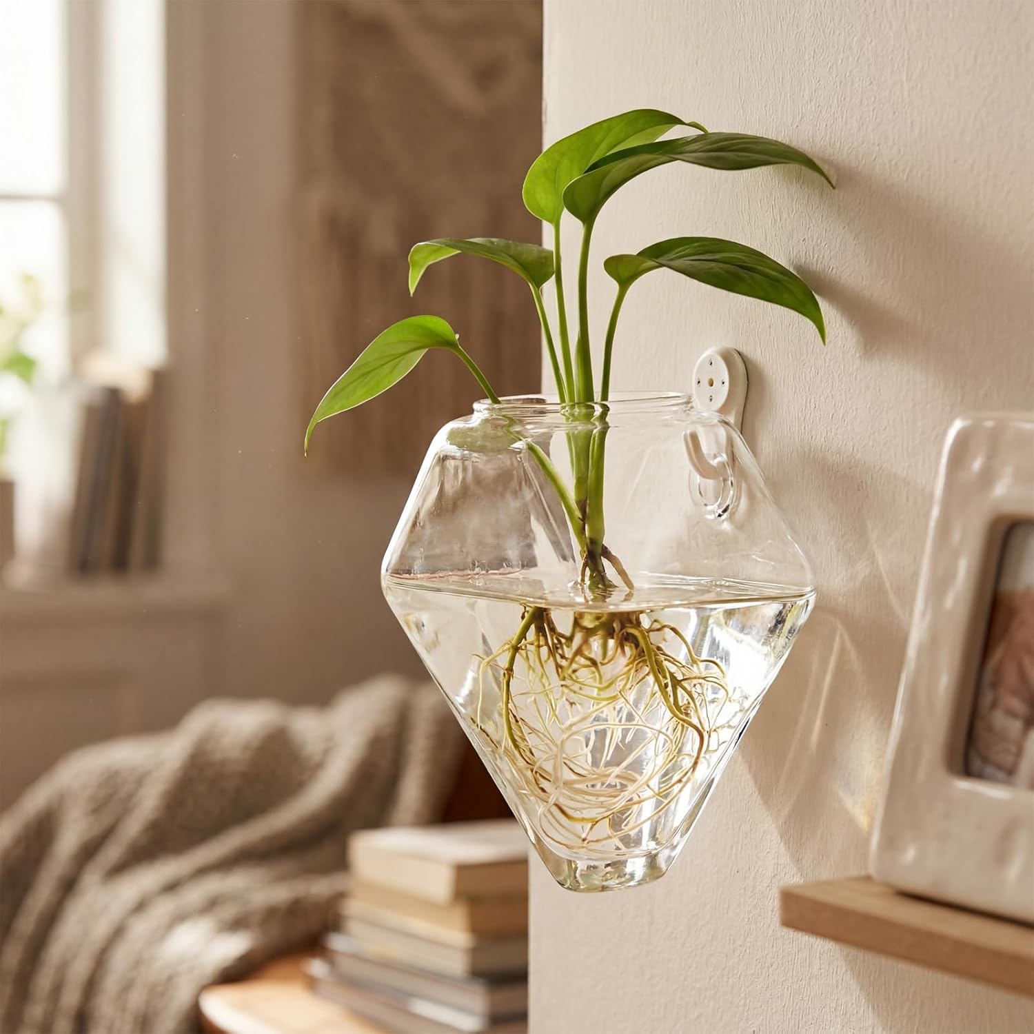 Yungyan 6 Pack Wall Mounted Glass Planter Borosilicate Glass Diamond Hanging Vase with Hidden Invisible Hook Hydroponic