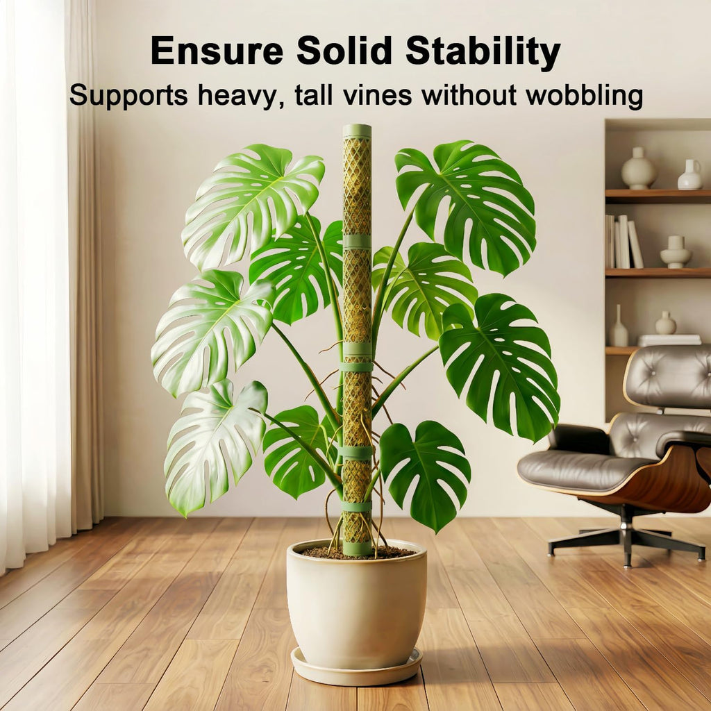 Moss Pole Monstera Plant Support: 40" Stackable Kit for Climbing Vines | No-Rot D-shape Plastic Mesh Trellis Stakes