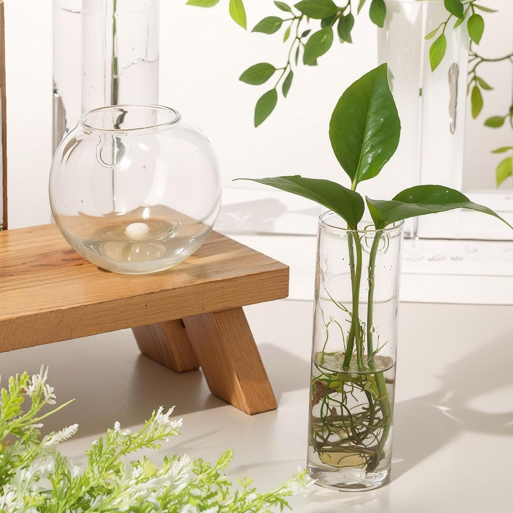 6 Pcs Glass Wall Hanging Vase Indoor Propagation Planter with Hanging Suction Cup and Plastic Invisible Traceless