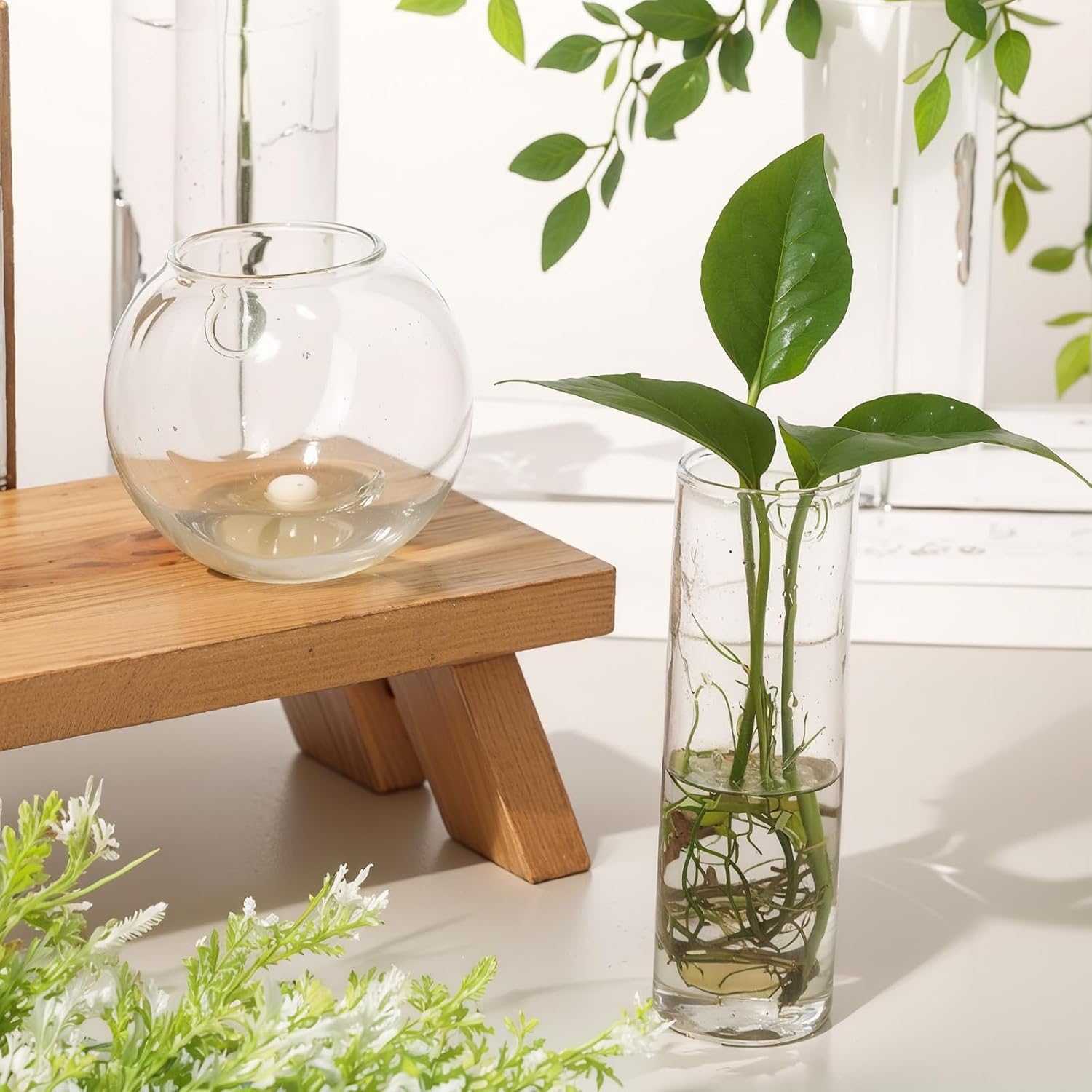 6 Pcs Glass Wall Hanging Vase Indoor Propagation Planter with Hanging Suction Cup and Plastic Invisible Traceless