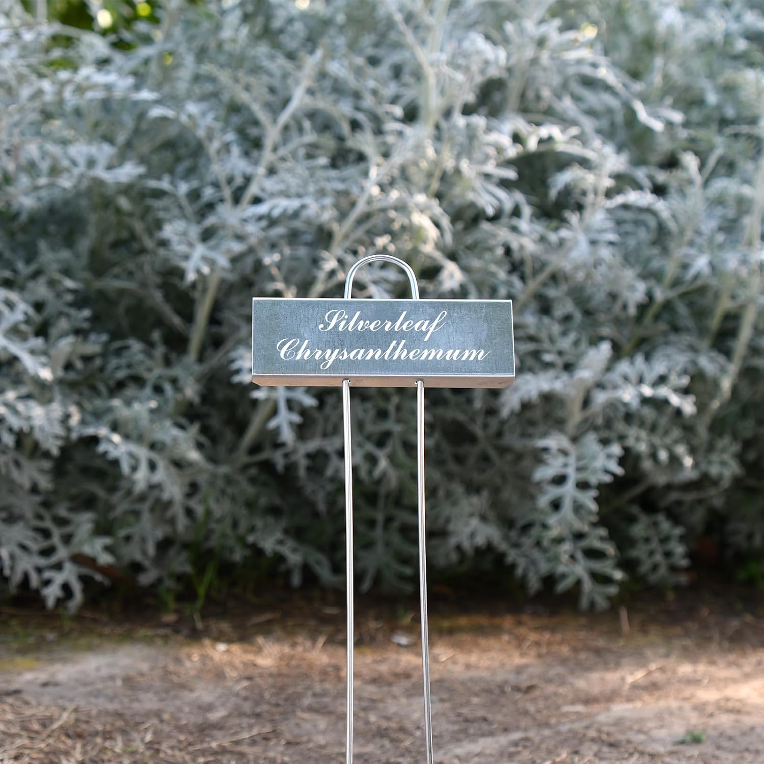 50 Pack Metal Plant Labels for Outdoor Garden Waterproof Plant Markers, Labels Garden Markers for Seedlings Herbs
