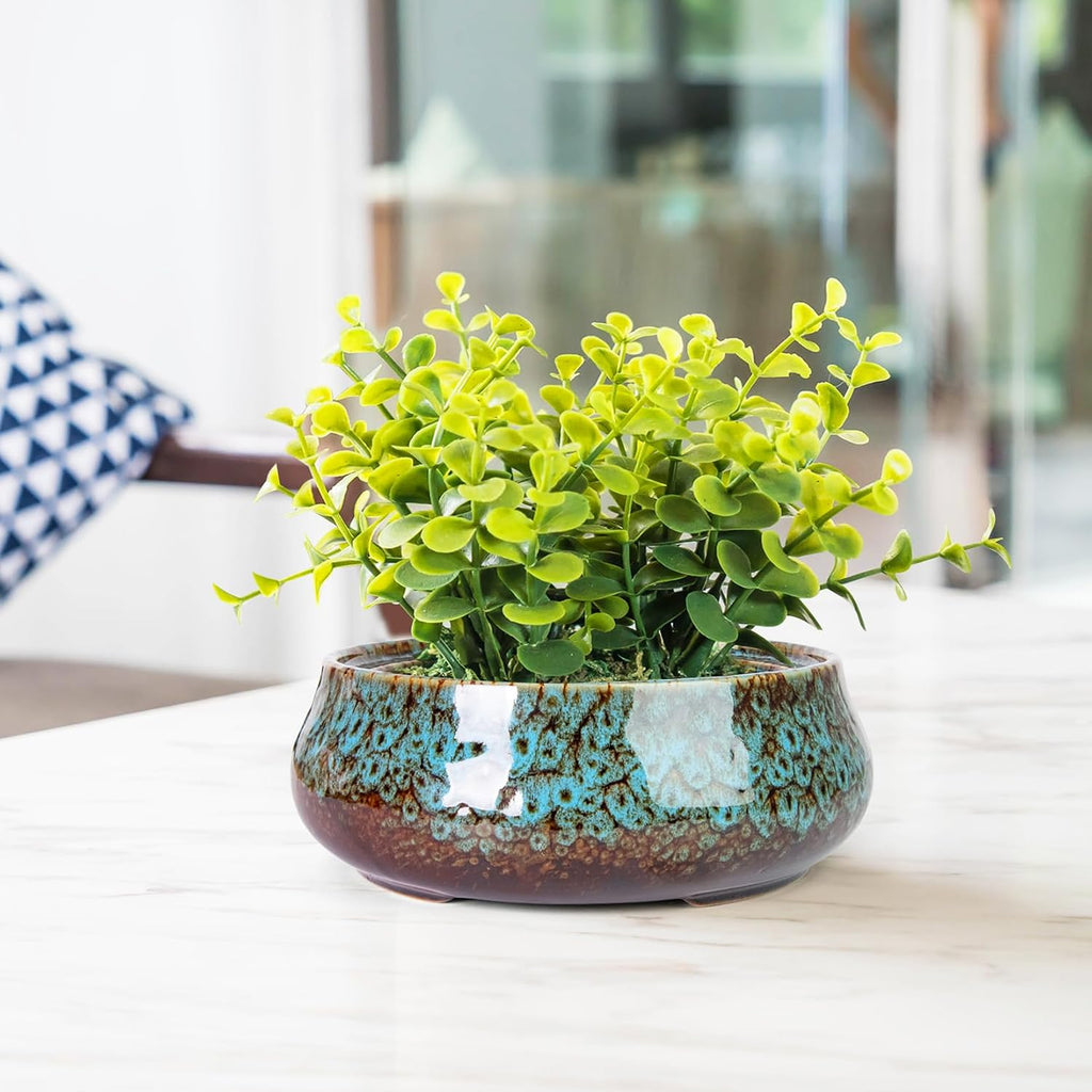 ARTKETTY Succulent Pots, 8 Inch Plant Pots Large Bonsai Pots with Drainage | Ceramic Shallow Planters for Indoor