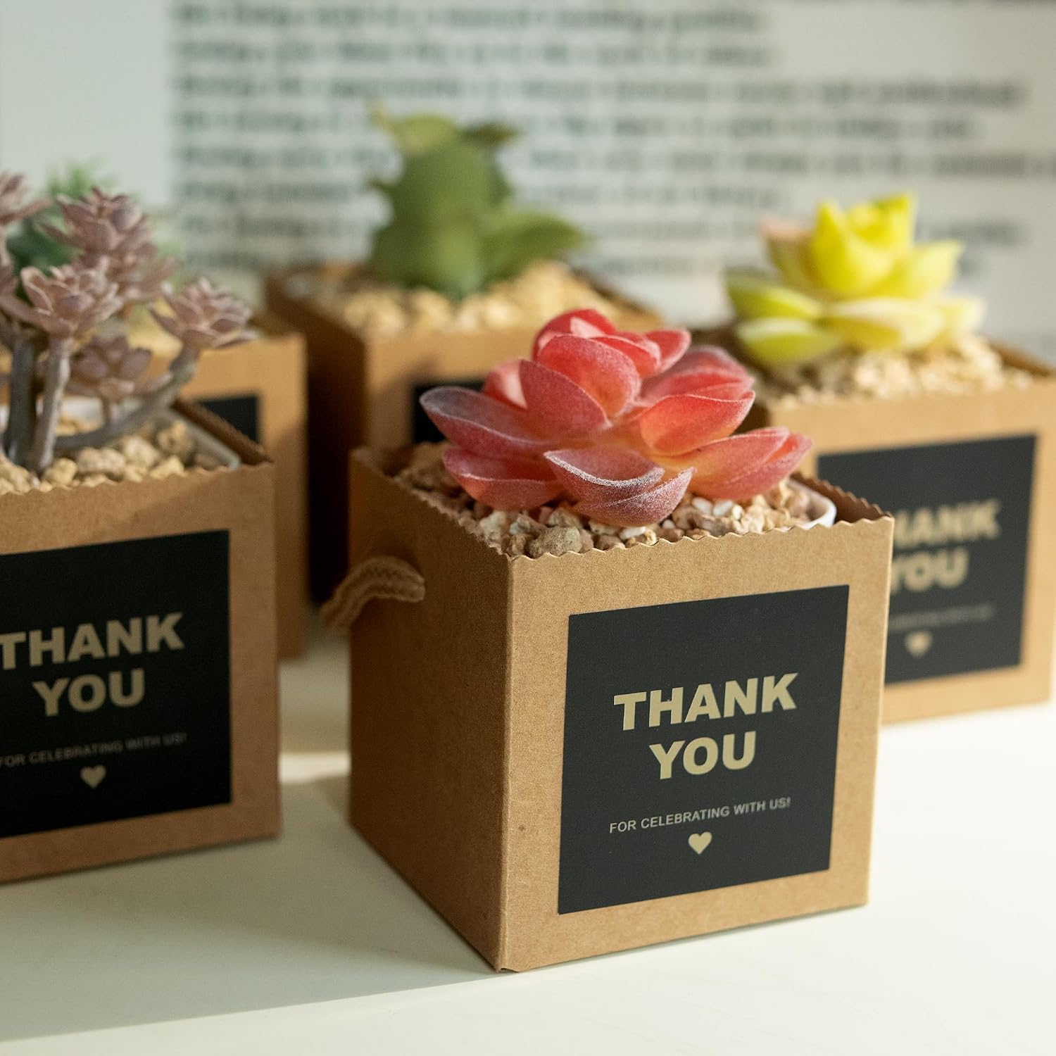 Temlum 2.5 Inch Succulent Wrap Bags (Fits 2.5″ Pots) with Thank You & Let Love Grow Stickers, Small Gift Box for