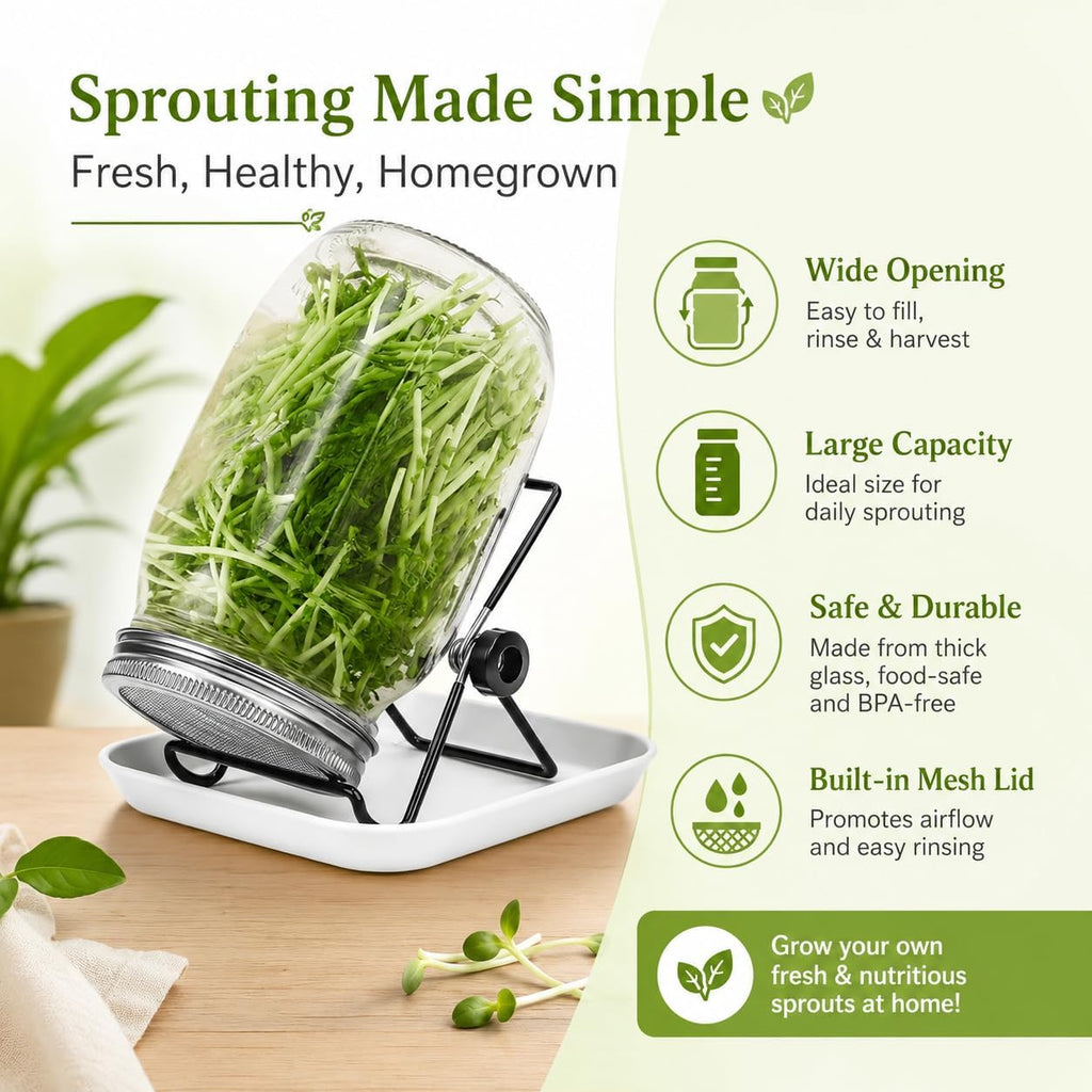 Seed Sprouting Jar Kit, 4 Pack 1000ml/34oz Mason Jars with Stainless Steel Lids, Stand, Tray & Brush for Fresh Sprouts