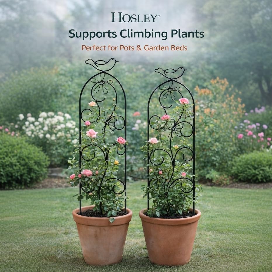 Hosley Set of 2 Iron Garden Trellis Panels – 28” Decorative Plant Support for Climbing Plants, Outdoor Yard, Patio