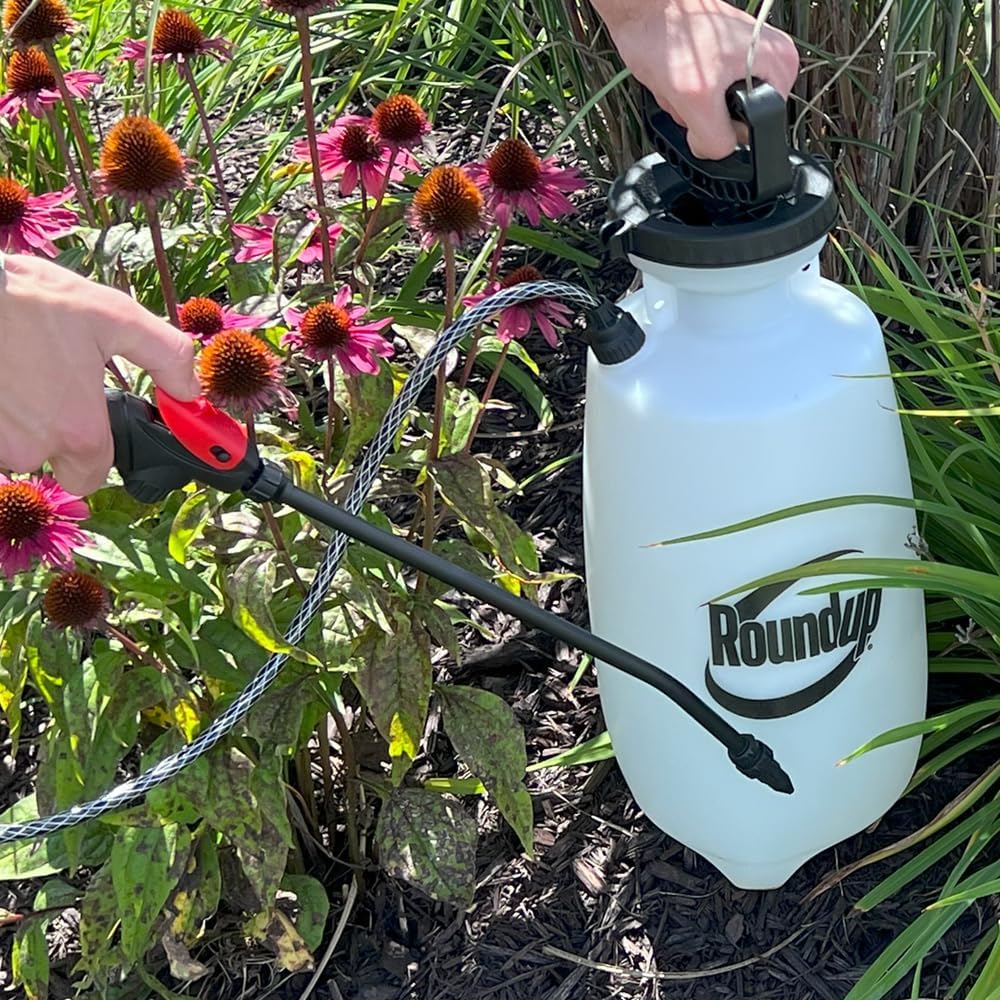 Roundup 190260 2-Gallon Lawn and Garden Sprayer for Controlling Insects and Weeds or Cleaning Decks and Siding & 181538