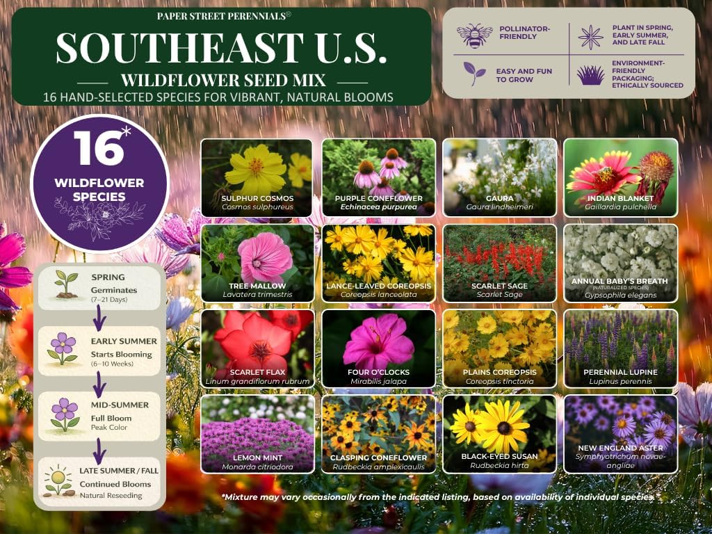 Arkansas Bulk Perennial and Annual Non-GMO Wildflower Seed Mix 1/4lb Covers 500sq-ft - Attract Pollinators, Multi-Color