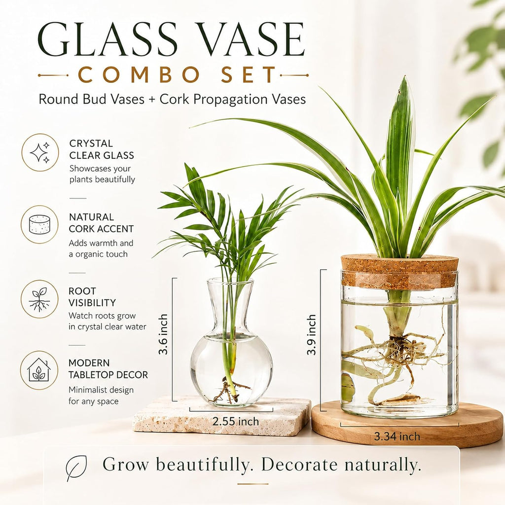 Plant Propagation Stations, 2 Style Glass Planter Terrariums, Propagation Vases for Plant, Plant Propagation Jars for