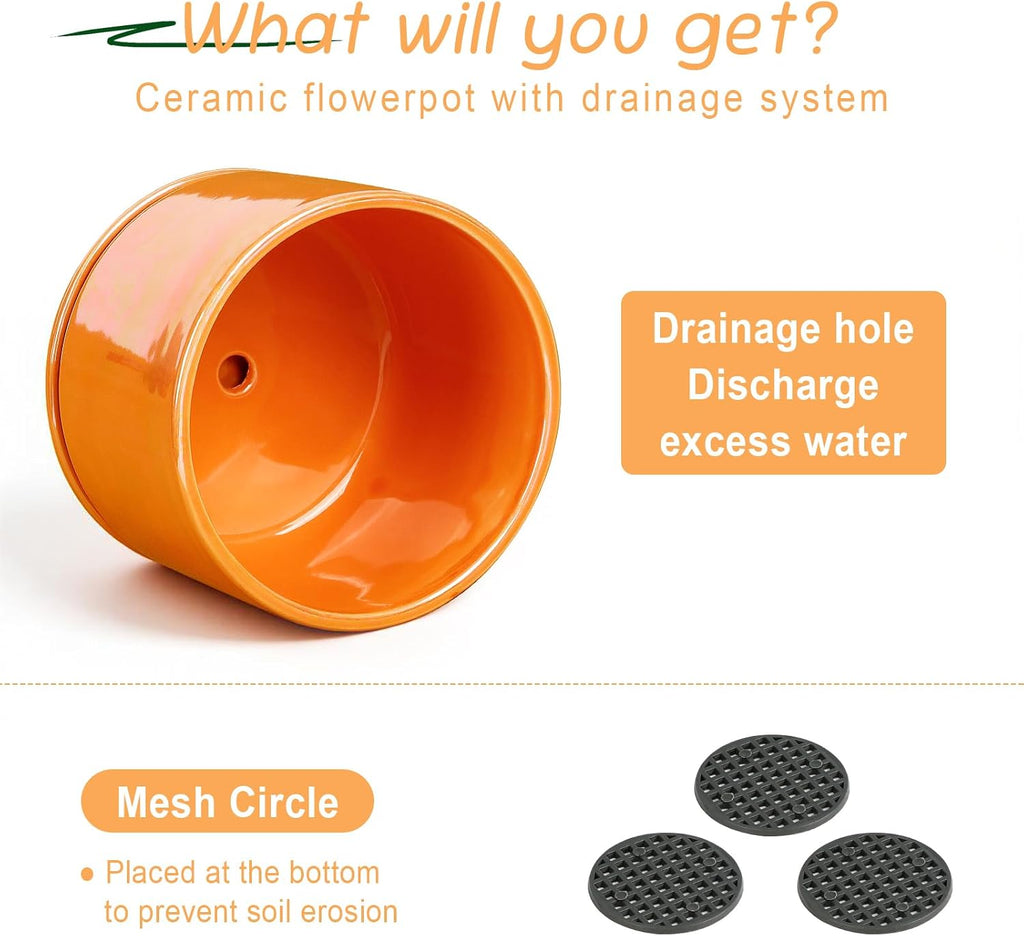 EFISPSS Ceramic Plant Pots,4+5+6 Inch Ceramic Indoor Pots for Plants with Drainage Hole,for Succulent