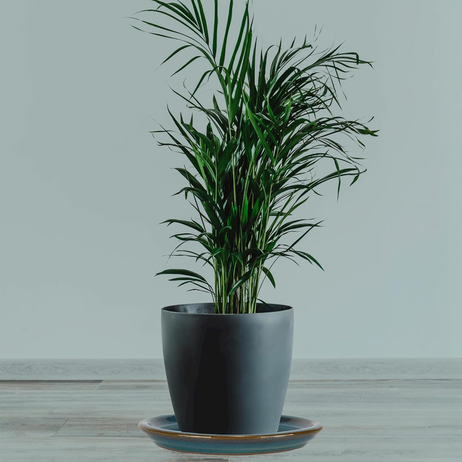 W&W Ceramic Plant Saucer - Plant Trays for Indoor Pots (Teal, 8 inches, 2 Packs)