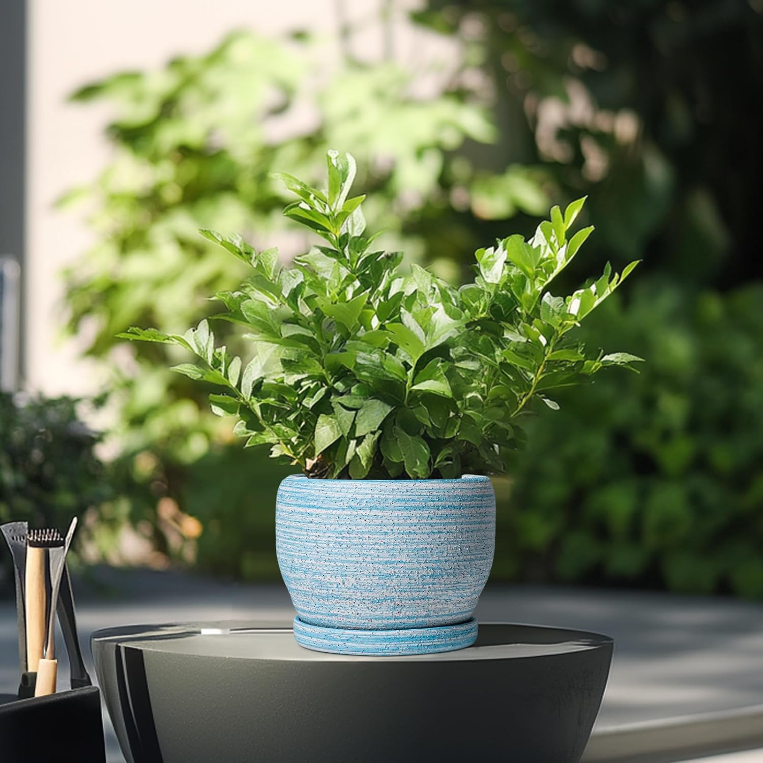 SQOWL Ceramic Planters for Indoor Plants - 6 Inch Plant Pot Indoor Outdoor, Decorative Flower Pot with Drainage Hole