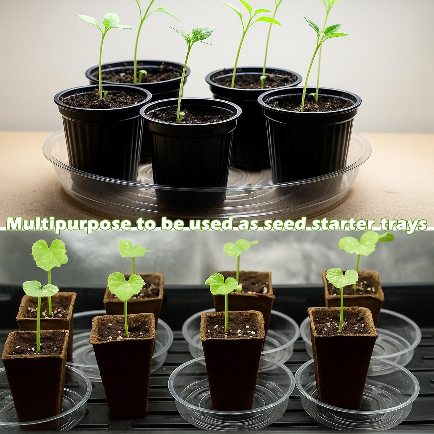 30 Packs Clear Plant Saucers for Indoor Outdoor Use 4/6/8/10/12/14 Inches Heavy Duty Plastic Plant Trays for Planter