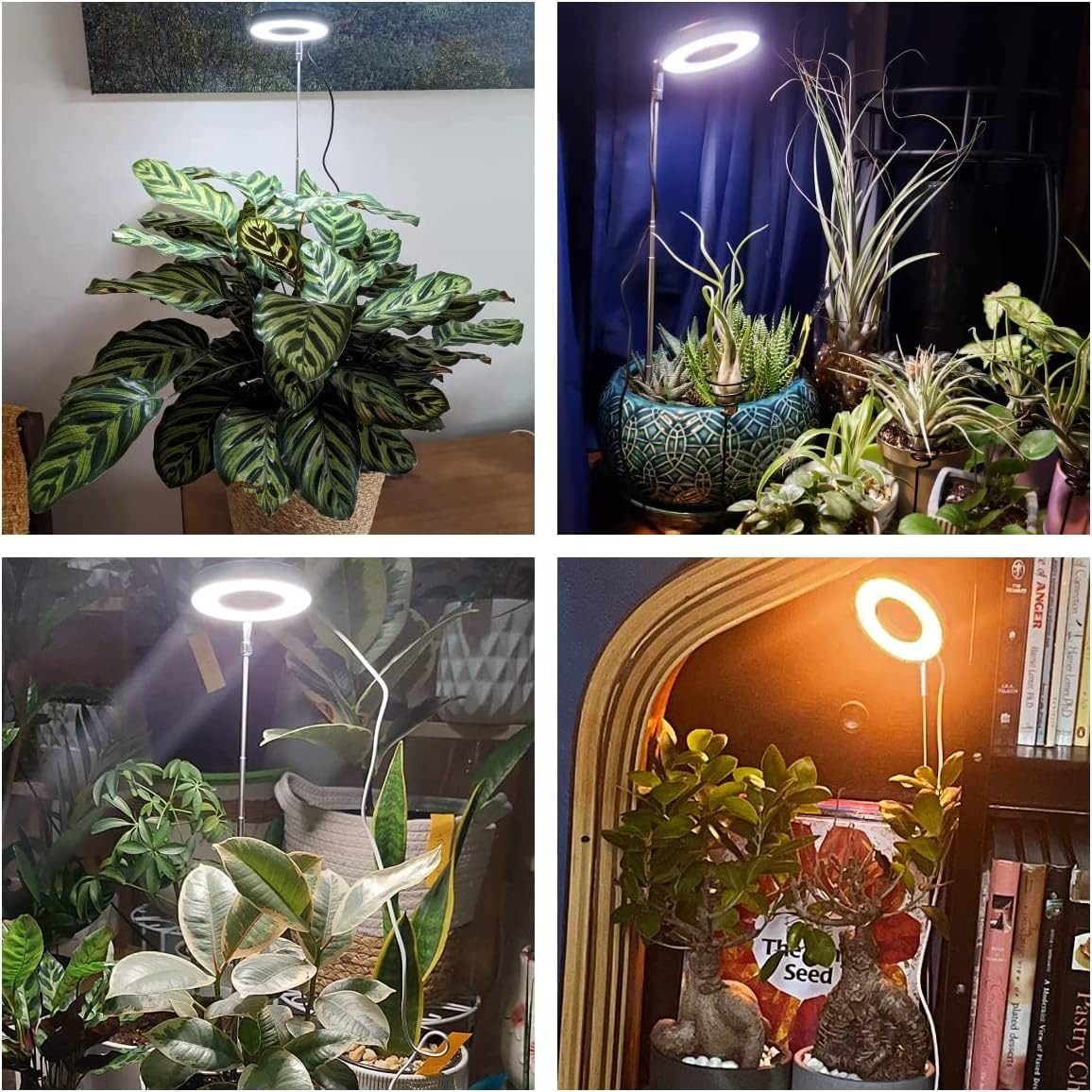 Aokrean Grow Lights for Indoor Plants, Full Spectrum Plant Light with Base | 48 LEDs Halo Grow Lamp for Small Plants