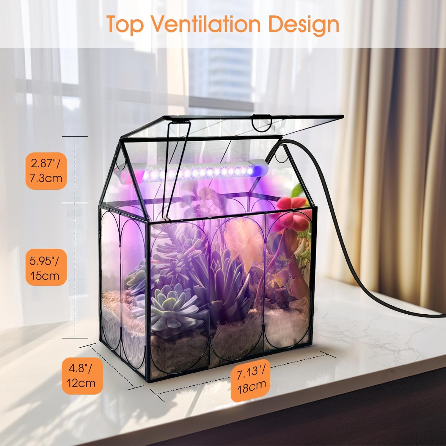RIFNY Plant Terrarium with Grow Light, Glass Terrarium 7.1 x 4.8 x 8.8 Inch | Terrarium with LED Grow Light and
