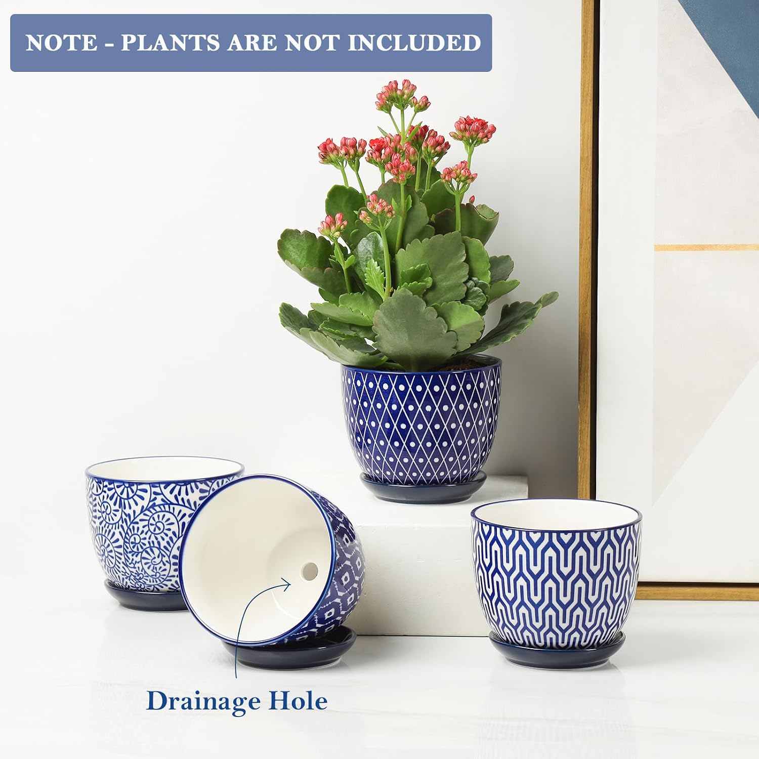 Selamica Ceramic Plant Pots, 4.6 Inch Flower Pots for Indoor Plants, Succulent Pots with Drainage Hole & Saucer
