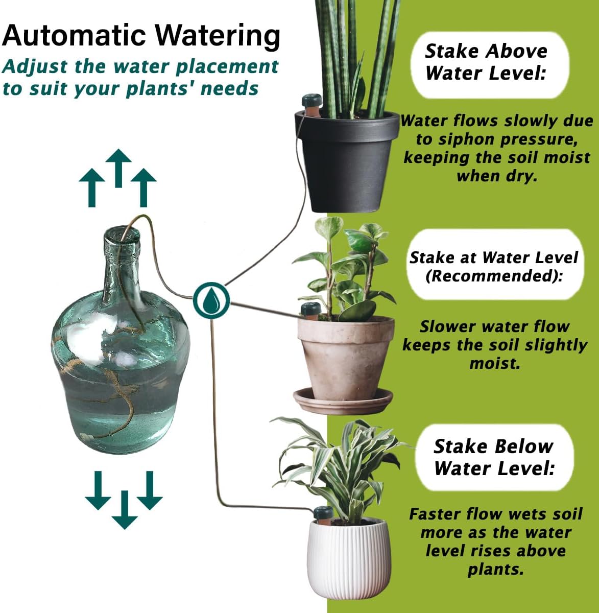 Blumat Classic Self-Watering Stakes - Prevents Overwatering and Underwatering for Healthy Growth While You are Away