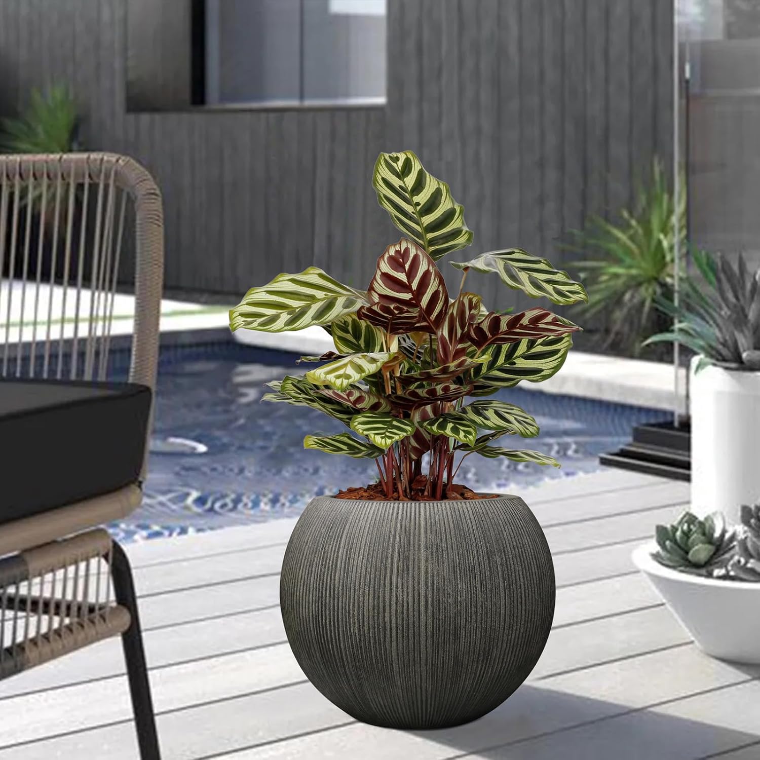 11.8" H x 14.5" D Large Round Plastic Planter with Drainage Hole & Plug | UV/Weatherproof, Lightweight, Recyclable