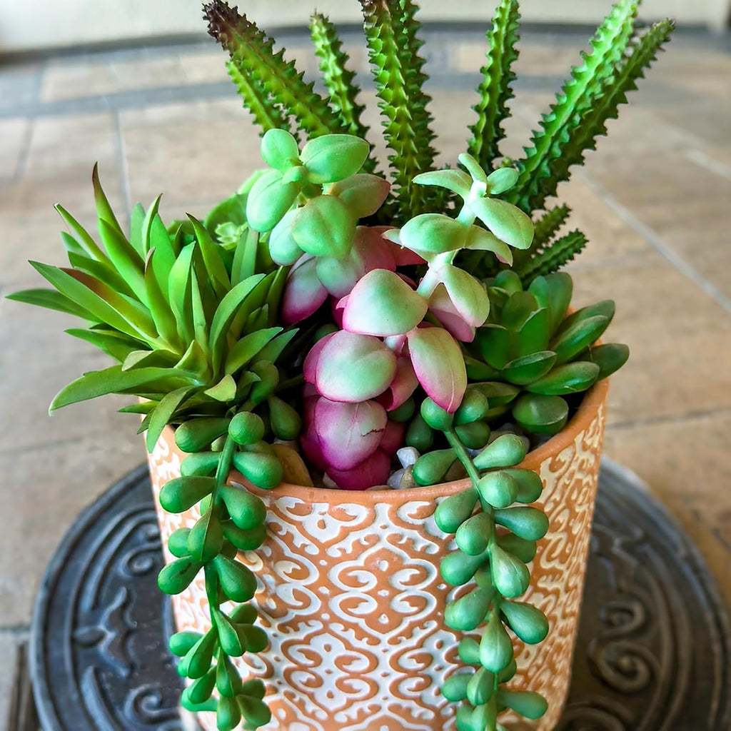 Frcctre 2 Pack Terracotta Pots for Plants, 5 Inch Succulent Planter Pot with Drainage Hole and Saucer, Clay Pottery